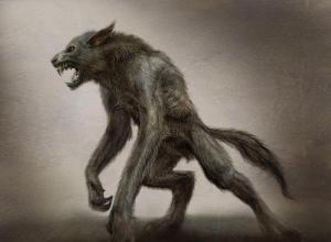 Волки-оборотни: кто они, как их распознать, почему становятся волколаками?