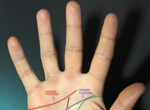 Что означают браслеты на запястье, хиромантия Главные линии на руке: линия здоровья